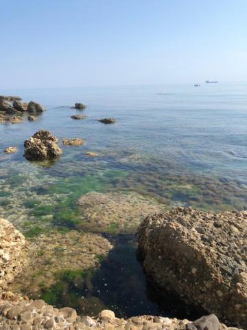 Piazza Verdi B&B Vasto Εξωτερικό φωτογραφία